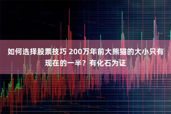 如何选择股票技巧 200万年前大熊猫的大小只有现在的一半？有化石为证