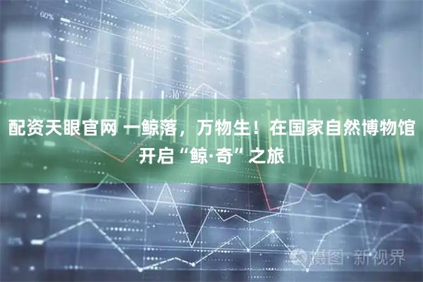配资天眼官网 一鲸落，万物生！在国家自然博物馆开启“鲸·奇”之旅