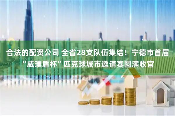 合法的配资公司 全省28支队伍集结！宁德市首届“威璞盾杯”匹克球城市邀请赛圆满收官